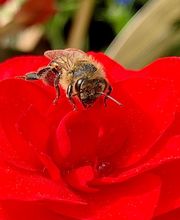 Ncvabeenucs.com image 11