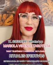 225684521-1-AobXMif0QD1752919420953.jpeg