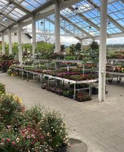 Lehmann Baumschulen AG Bild 10