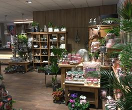 Blumen Interfleur Floristik & Wohnaccessoires Bild 1