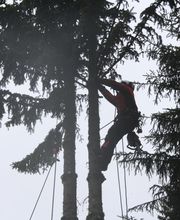 Eco Paysages image 2