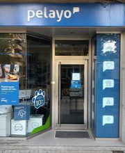 Oficina Seguros Pelayo imagen 1