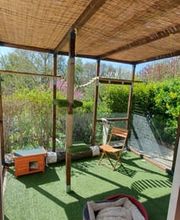 La Forêt des Ronrons image 5