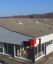 Doras Arbois image 1