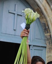 Flowers image 11