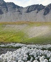 Ecotope Flore-Faune image 3