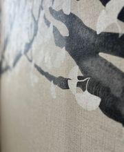 Dream Color Impresa di Pittura Bild 4