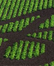 SCPA Biograins image 1