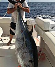 Enigma Charter Mallorca - Fishing & Boat Trips imagen 1