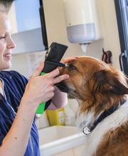 Clinique vétérinaire des trois fontaines image 4