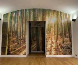 Gallery Cliente