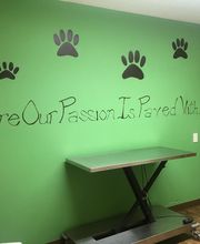 Western Reserve Animal Clinic image 6