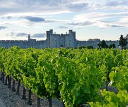 Caveau Les Sablons image 4