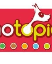 Animotopia Puppy Saint Pol de Leon image 1