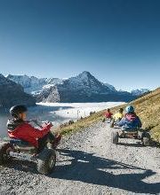 First Mountain Cart Bild 4