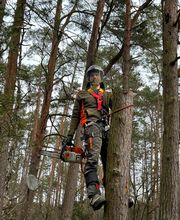 WhatsApp Bild 2025-03-31 um 09.39.39_5b86c7c0.jpg