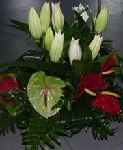 Audrey Fleurs image 7