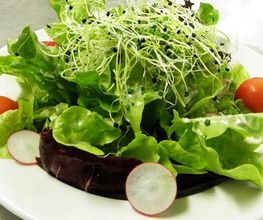 Leu Event Catering GmbH Bild 10