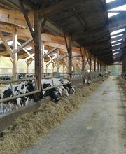 SAS BATIBOIS image 6