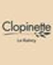 Clopinette Cigarette Electronique image 3