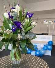 Allianz Link GbR Bild 4