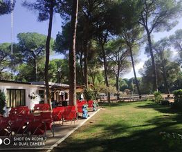 Pinar_Camping_Dehesa_Nueva_Aznalcazar.jpg