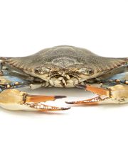 Park Hill Supermarket image 13