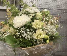 Casa Flora AG Bild 17