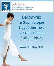 Vancaeyzeele Vincent Sophro Partage image 10