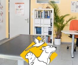 Kleintierpraxis Dr. Patrick Schlegel Bild 1