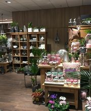 Blumen Interfleur Floristik & Wohnaccessoires Bild 1