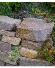 Gartenbau Spachtholz Bild 6