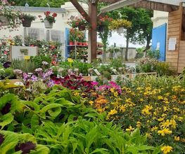 Les Halles aux Fleurs image 4
