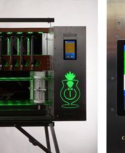 Cocktail-Joe Bild 16