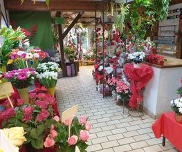 Blumen-Ecke Romana Hoss Bild 1