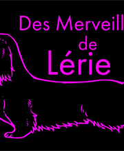 Des Merveilles de Lérie image 4