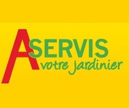 Aservis image 1