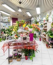 Duthil Sandrine image 19