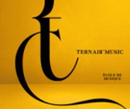 Ternair Music image 3