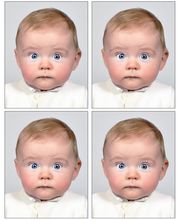 Atelier de Jong Photographie - Développement film argentique & photos passeport Bild 5