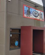 Ariege Cycles image 7