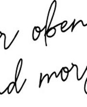 Naturdachwelten GmbH Bild 4