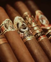 The Toasted Foot Lounge image 3