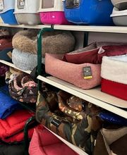 Qua la Zampa di Alessia Milani Termini Bild 11