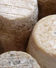 Fromagerie Morin Mopalait SA image 3