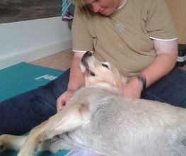 Dog Ways Hundecenter Bild 6