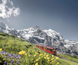 Kleine Scheidegg - Top of Hiking Bild 3