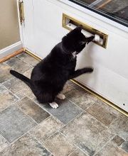 German P. Culver, Jr., CPA, PC image 2