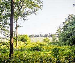 Herrenhaus Samow Bild 9
