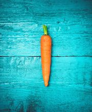 Traumasensible Ernährungstherapie Bild 8